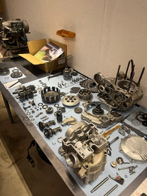 image1 (4)